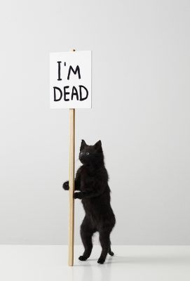 David Shrigley, I’m Dead, 2011, Private Collection, co Pictoright Amsterdam 2021