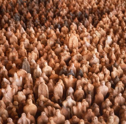 Antony Gormley
Amazonian Field, 1992
Terracotta
Variable size: approx. 24,000 elements, each 4-40 cm
© the artist
