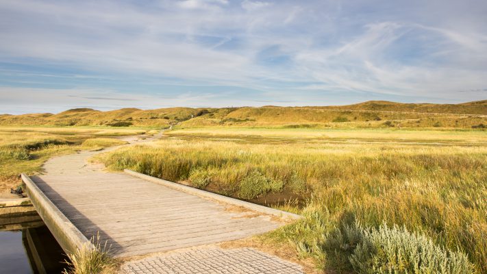 Nature park the Slufter on the wadden island Texel in the Nether