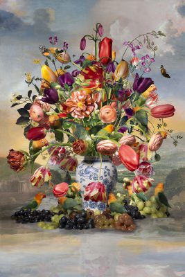 Hans Withoos - Pieter's Rose, 2025