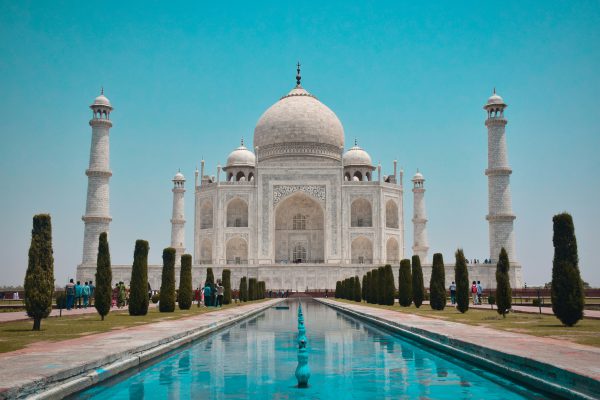 Jovan Cham for Unsplash